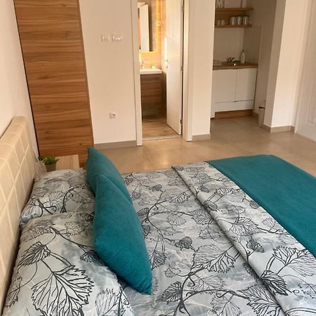 Apartmani Tesla Сокобаня Экстерьер фото