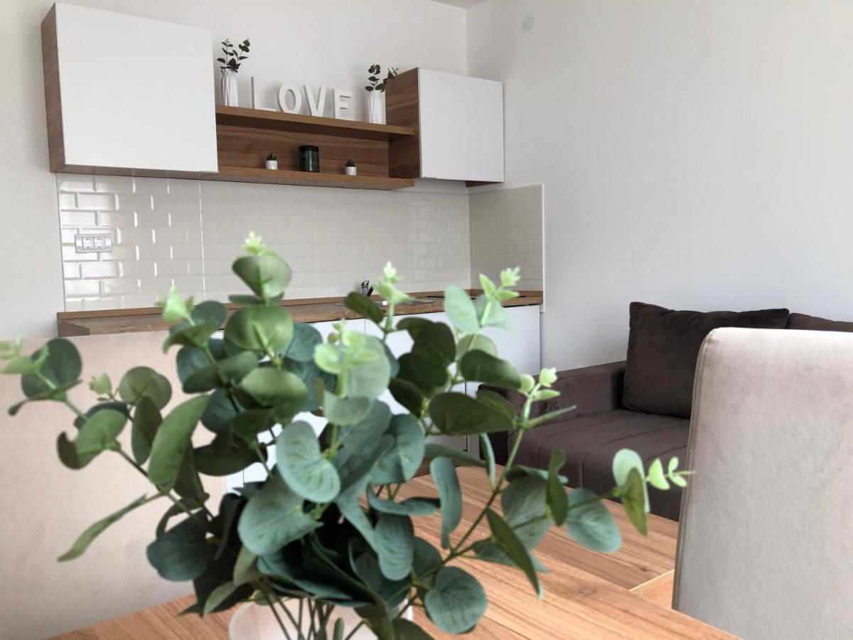 Apartmani Tesla Сокобаня Экстерьер фото
